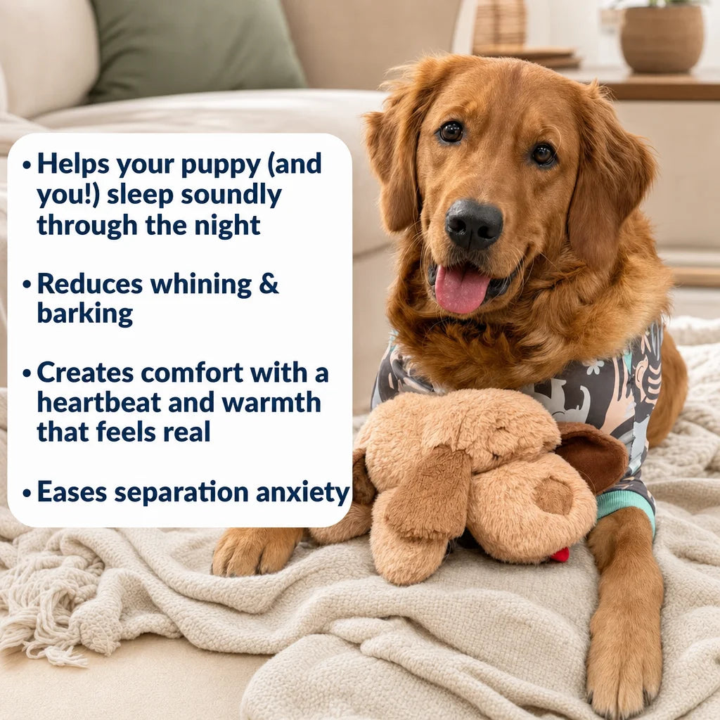 Calming Comfort Plush for Medium Dogs